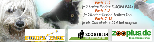 Fotowettbewerb