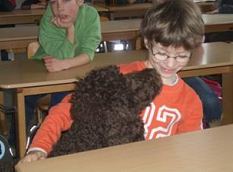 schulhund coffee - hunde in der schule