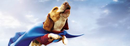 Hunde Film Hunde Film