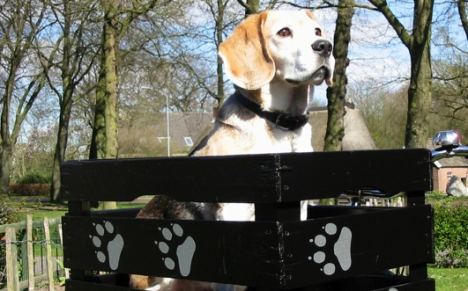 Hunde Aufkleber für einen guten Zweck