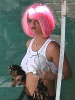 Britney Spears und ihre Hunde