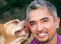 Interview mit Cesar Millan