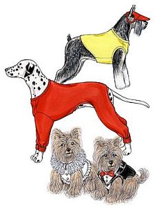 Dessous für Hunde