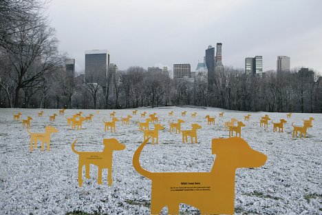 Werbe-Hunde für den Pedigree Dog Store in New York