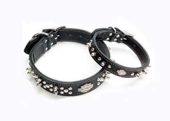 Pfotenshop: Harley Davidson Hunde Halsband