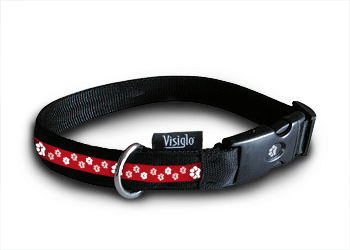 Dog Shop: Visiglo Leucht Halsband Fashion