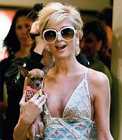 Hunde Show im britischen TV mit Paris Hilton