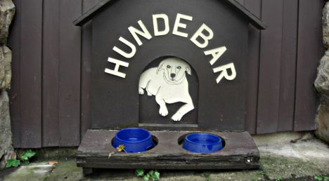 Hundebar auf der Bastei