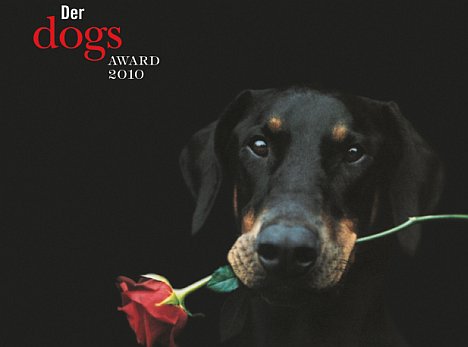 Dog Award 2009