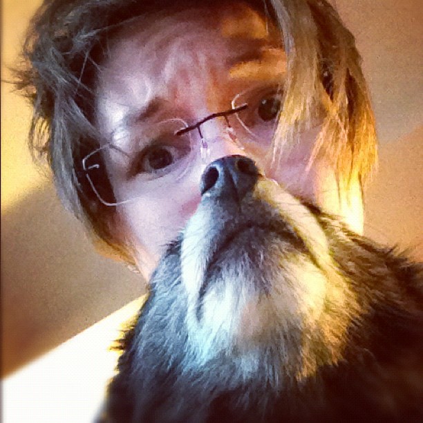 Dogbearding Foto 10