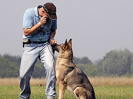 Holger Schüler - der Hundeversteher