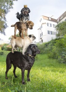 h.und - Festival für Hundefreund 2009