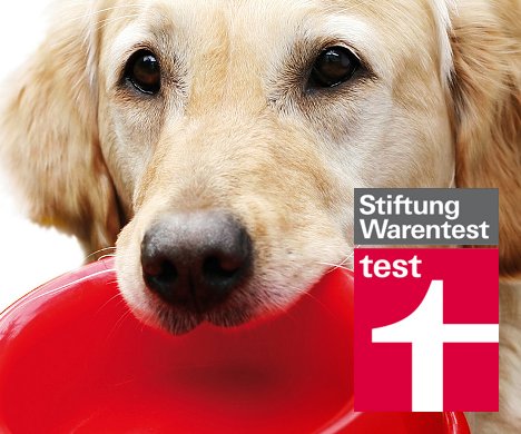 Hundefutter bei Stiftung Warentest