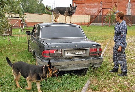 Hundestaffel Moskau