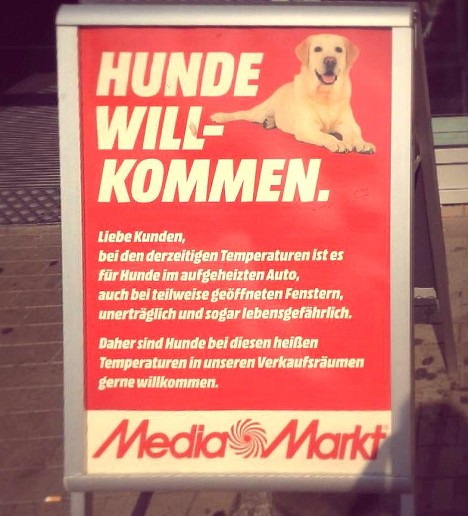 Media Markt heisst Hunde willkommen