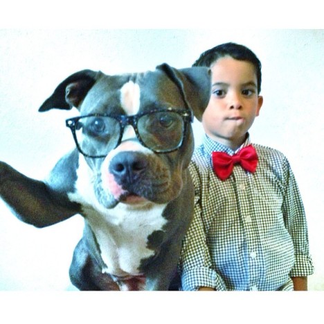 petselfiez Foto 04