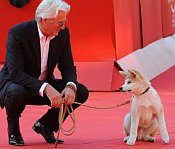 Richard Gere über Hunde