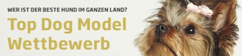 Top Dog Model Wettbewerb