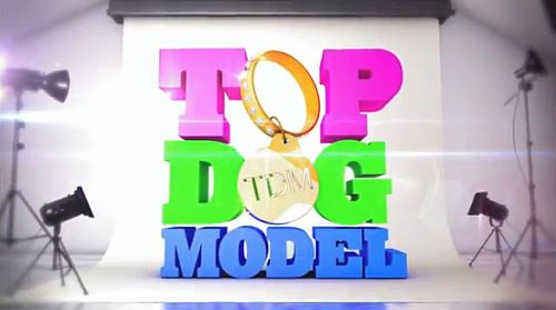 Top Dog Model auf Sixx