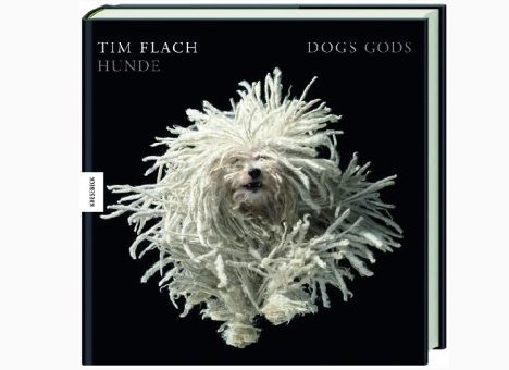 Tim Flach: Dogs