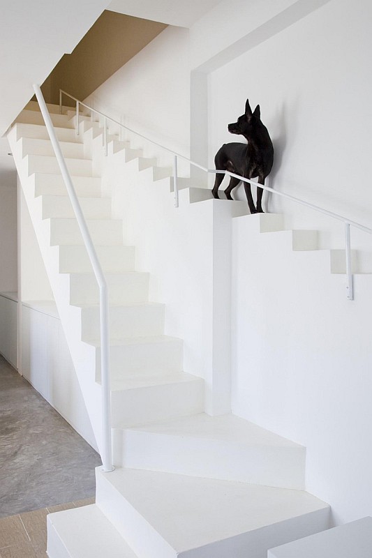 Haus mit separater Treppe für kleine Hunde