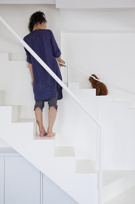 Haus mit separater Treppe für kleine Hunde